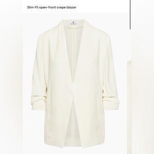 Babaton New Power Blazer in Crepette